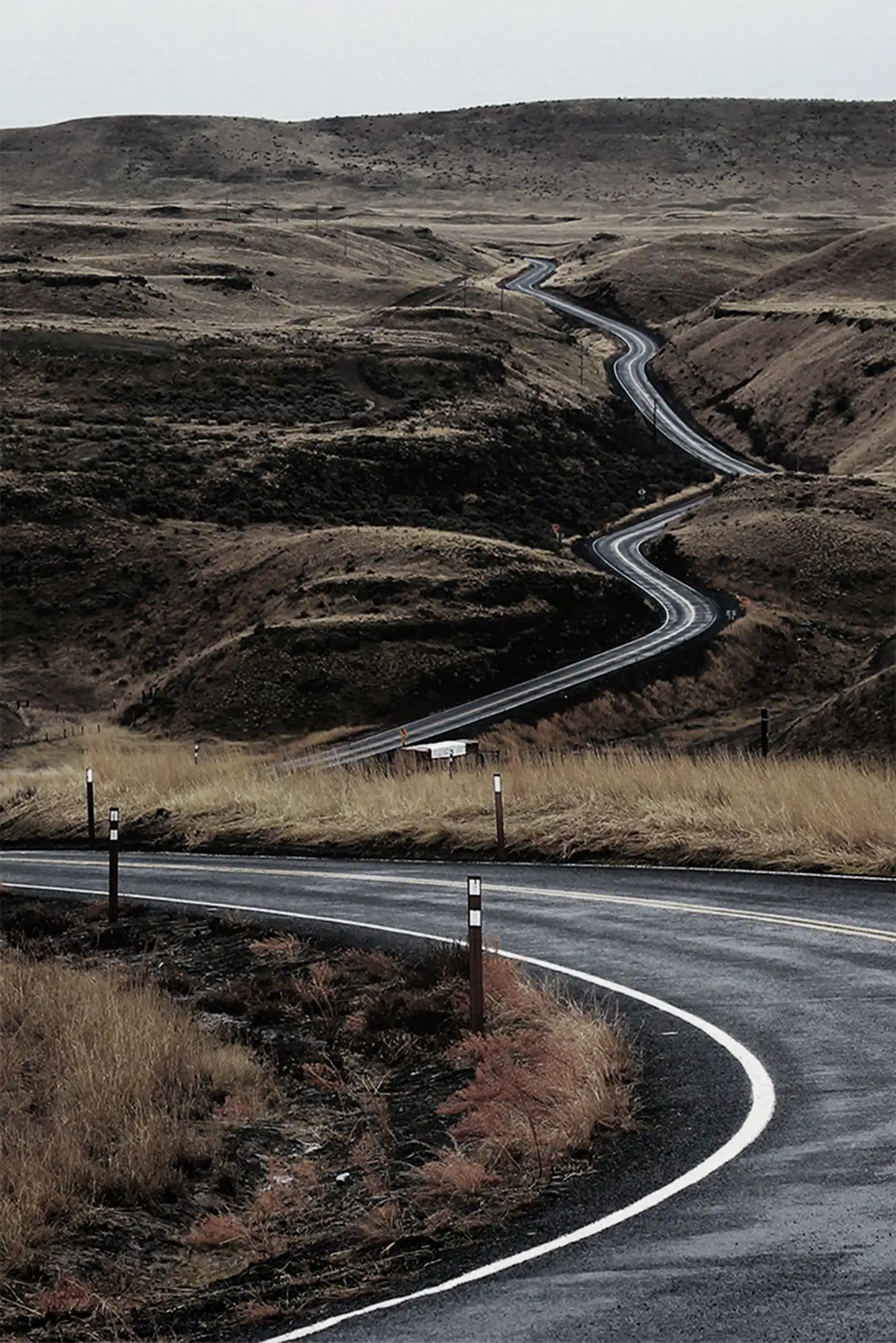 Winding road through dry hills with golden grasses under an overcast sky.