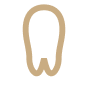 Tooth outline icon