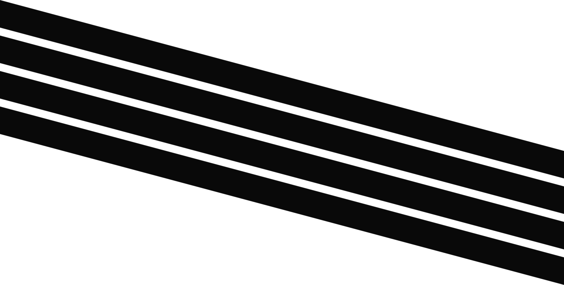 Funfact Top Border