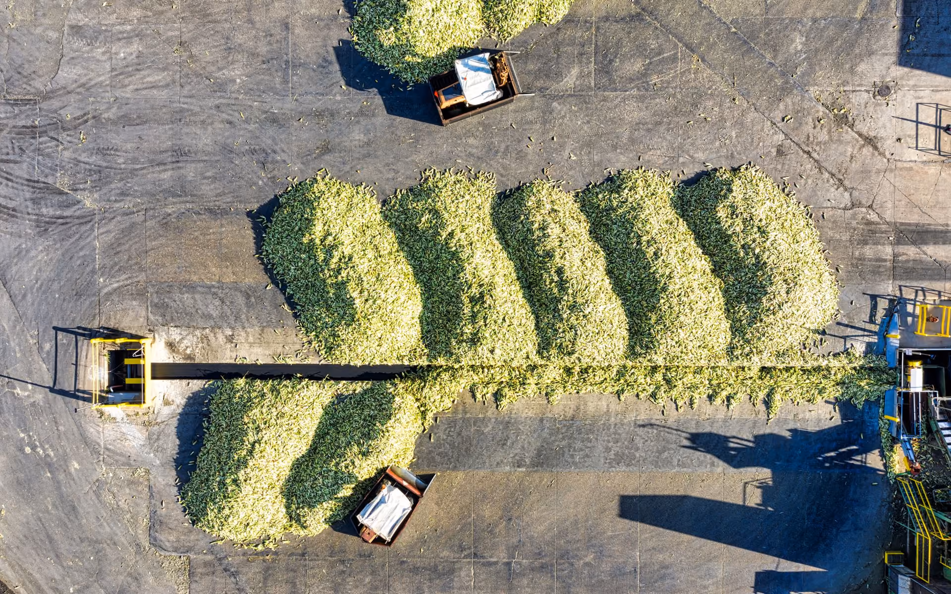 Environmental, Social & Governance (ESG) | Synercore