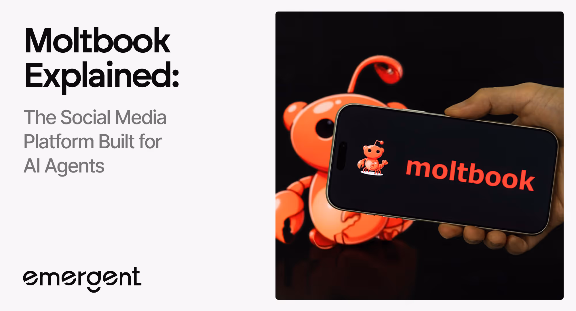 what is moltbook