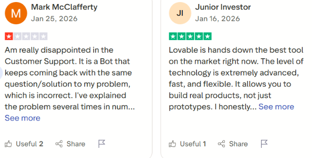 lovable user review