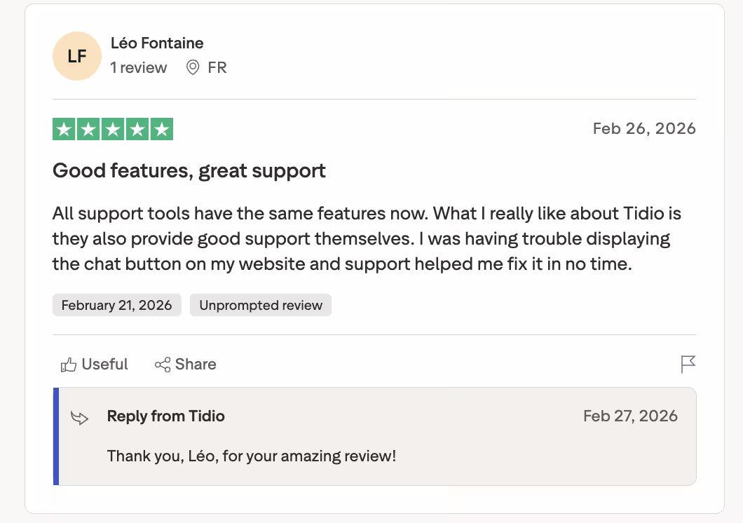 tidio user review andrea