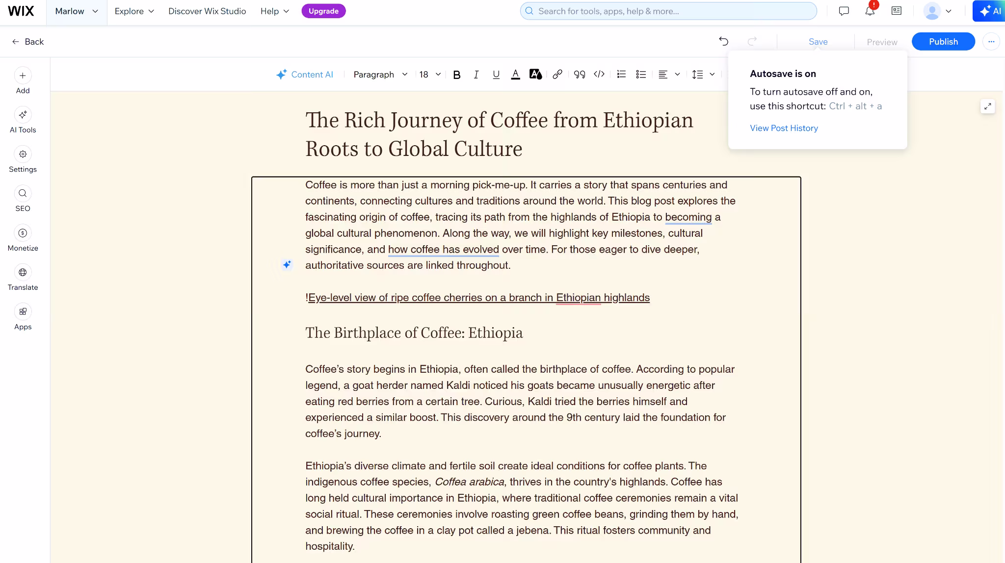 wix blogging feature