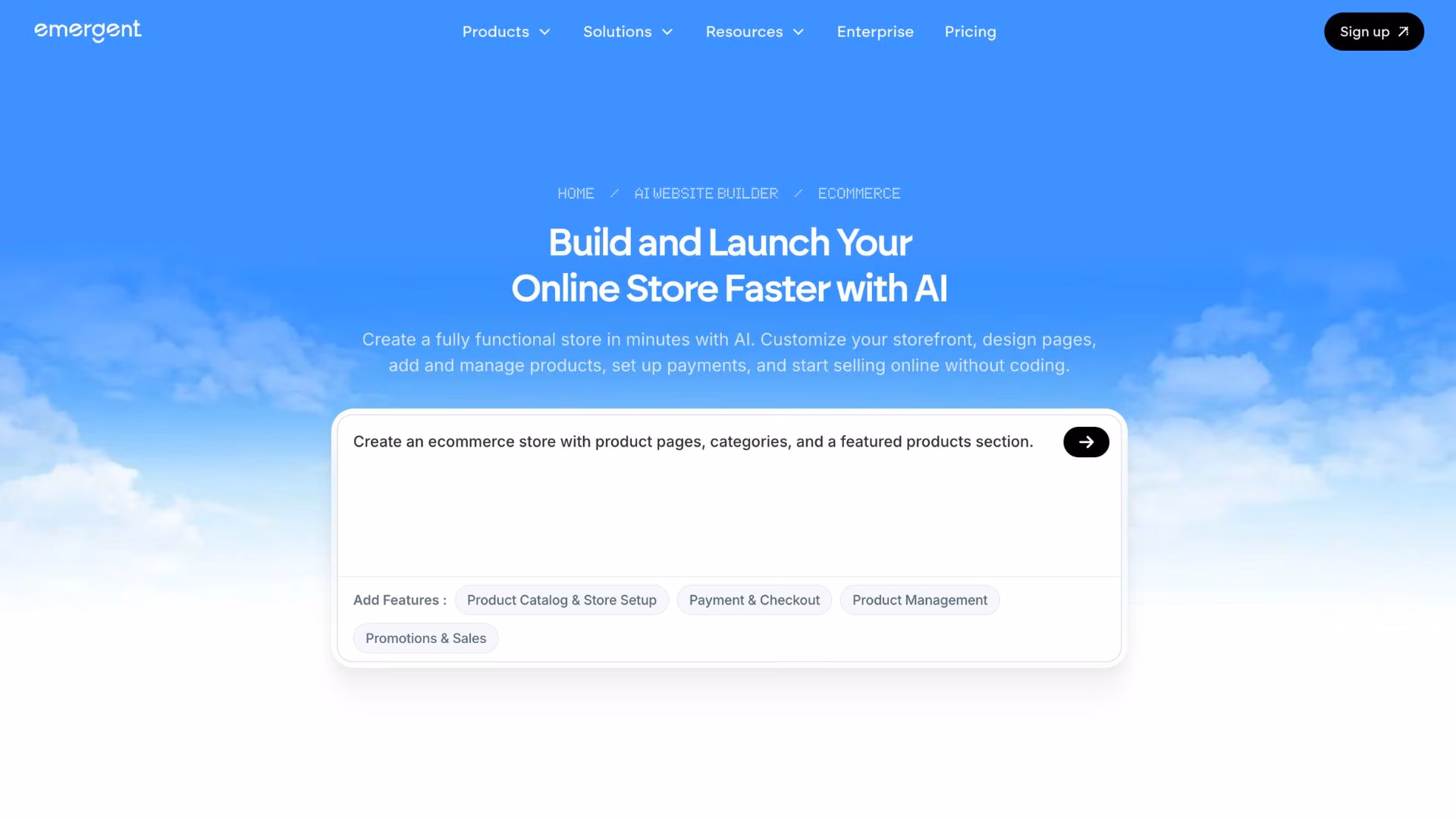 Emergent's AI ecommerce website builder