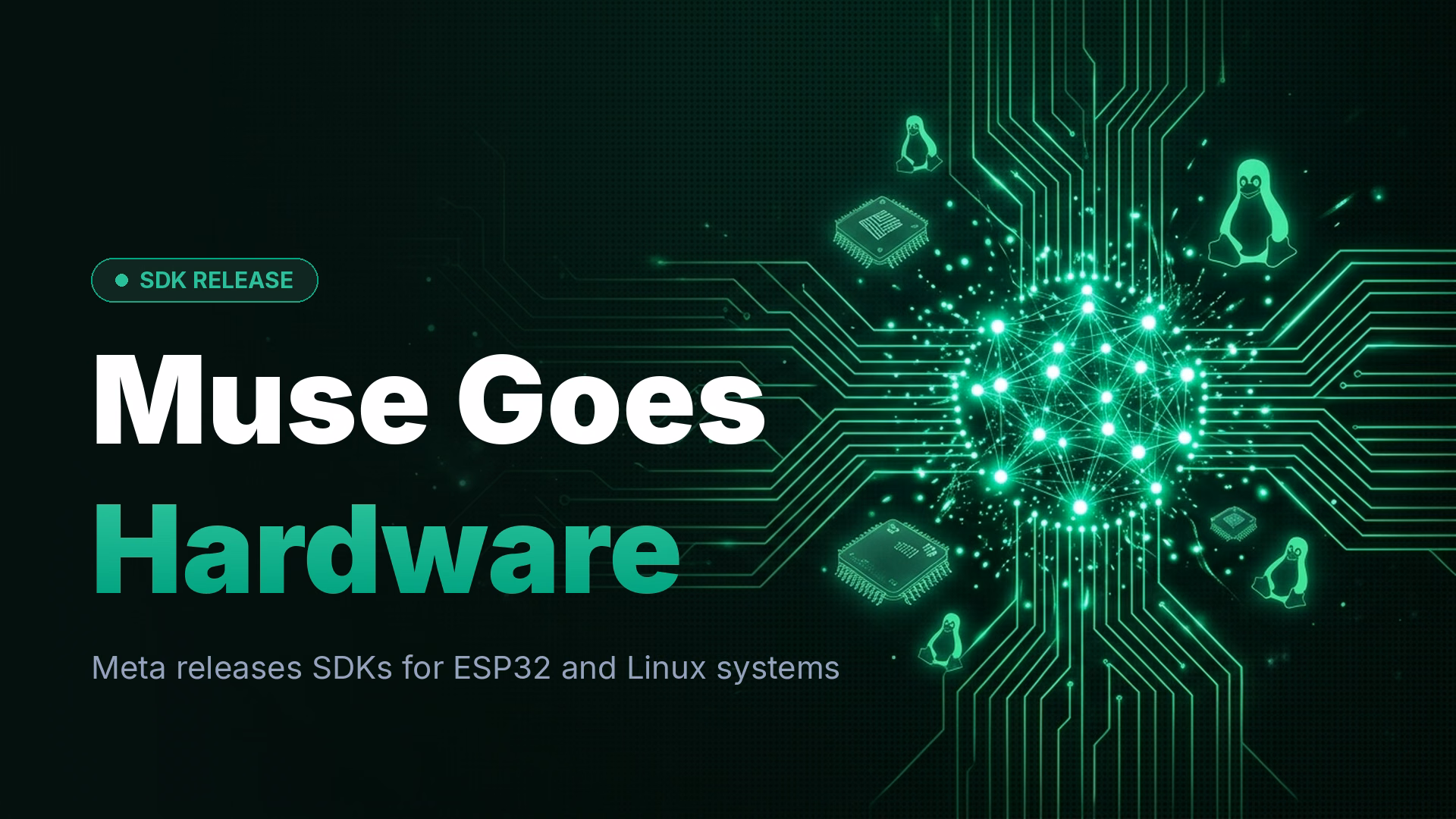 Meta Opens Muse to DIY Gadgets with ESP32 and Linux SDKs