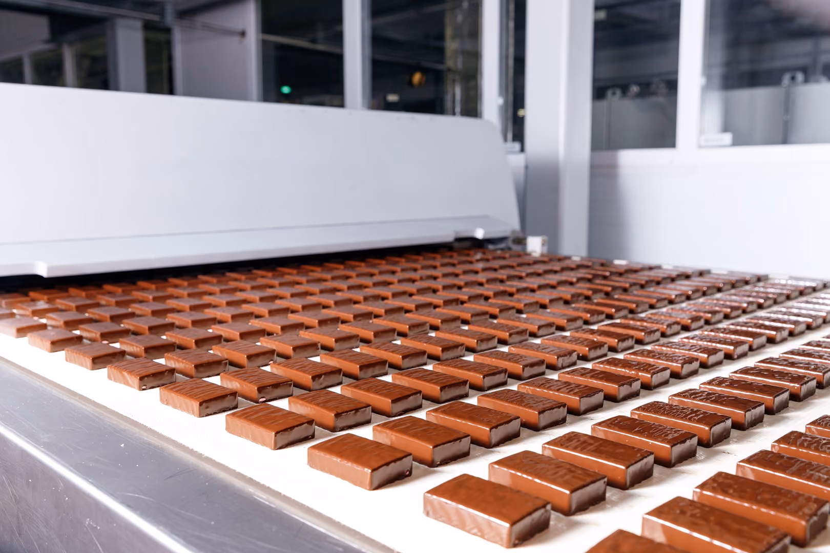 Rows of chocolate-coated bars moving along a conveyor belt out of an enrobing machine on a food production line