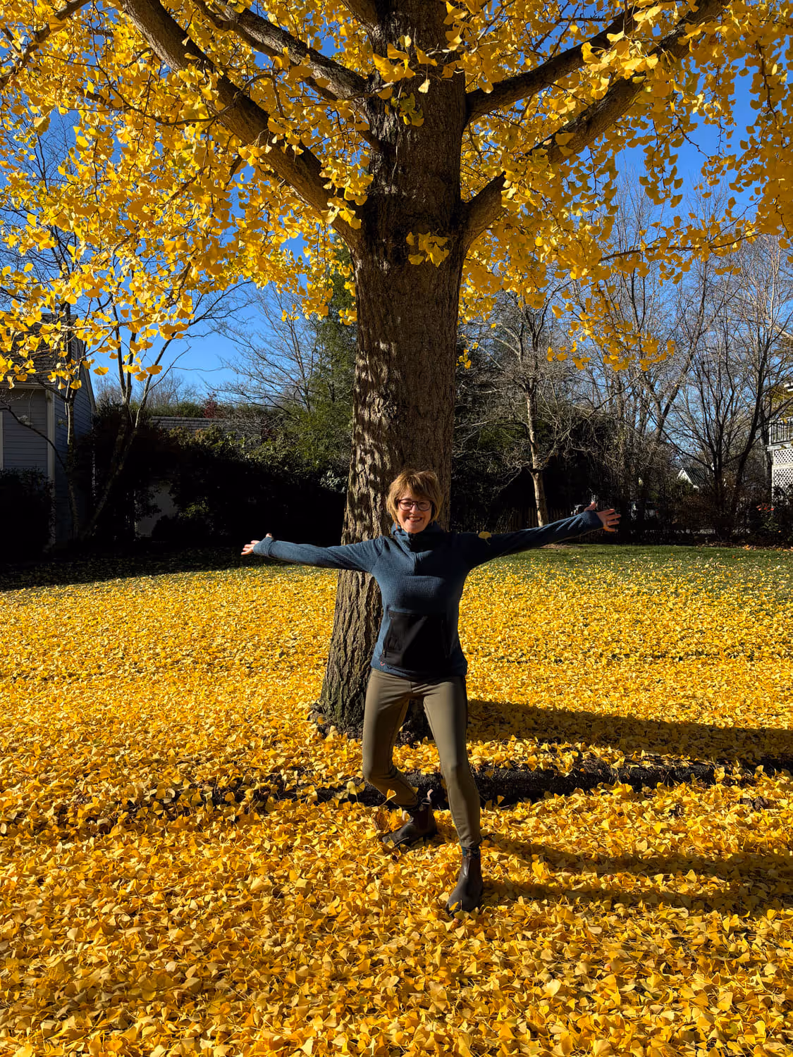 Ginkgo leaves