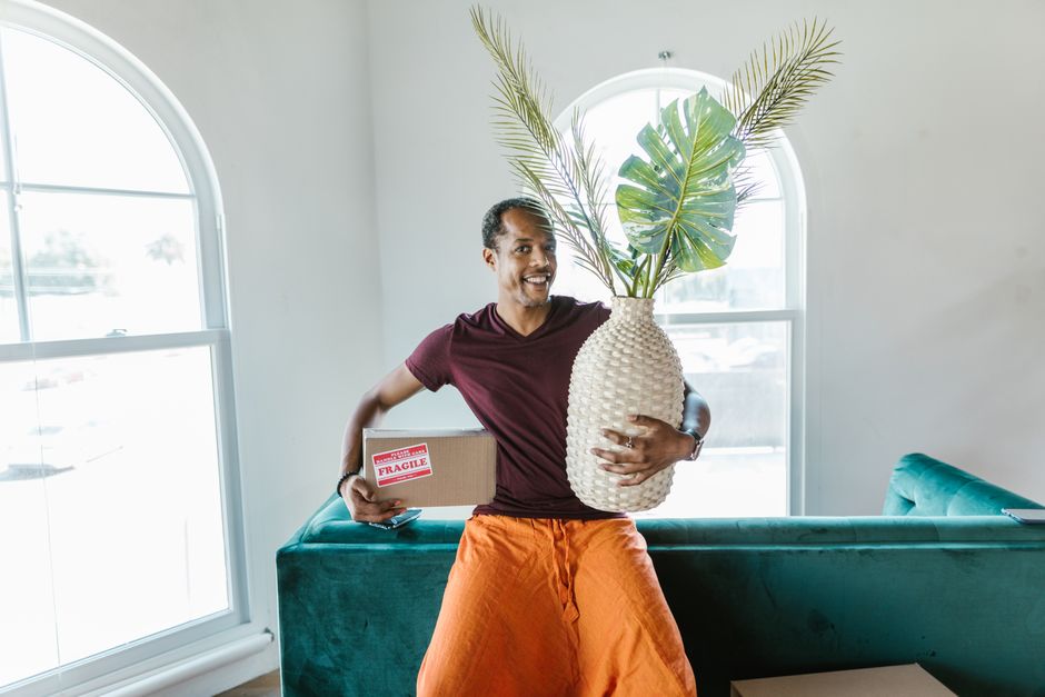 How To Move Houseplants
