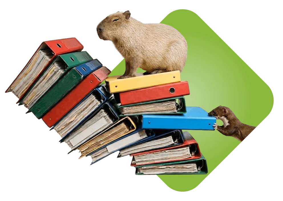 Capybara sitting on a stack of colorful binders while a small brown animal pulls a blue binder.