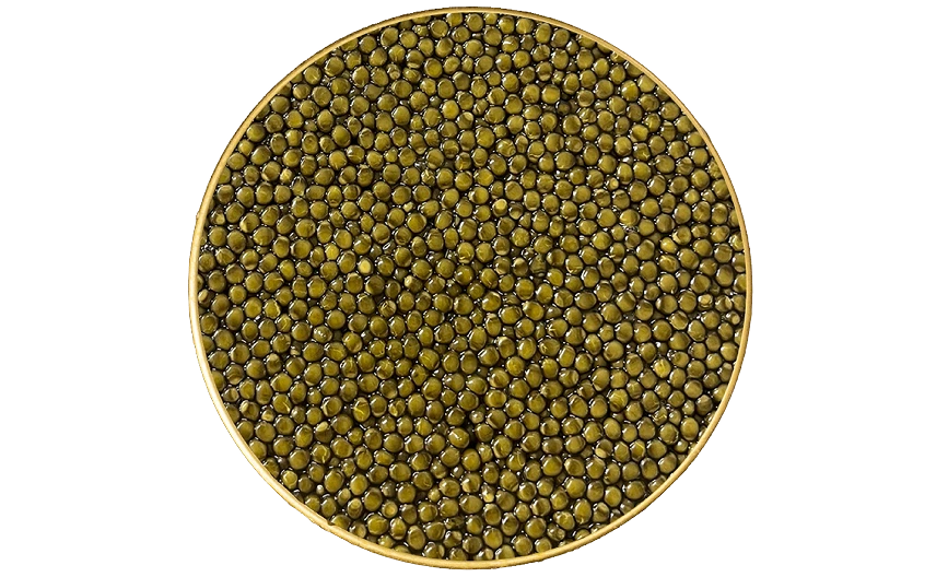 Caviale premium in barattolo aperto con grani oliva-dorati uniformi