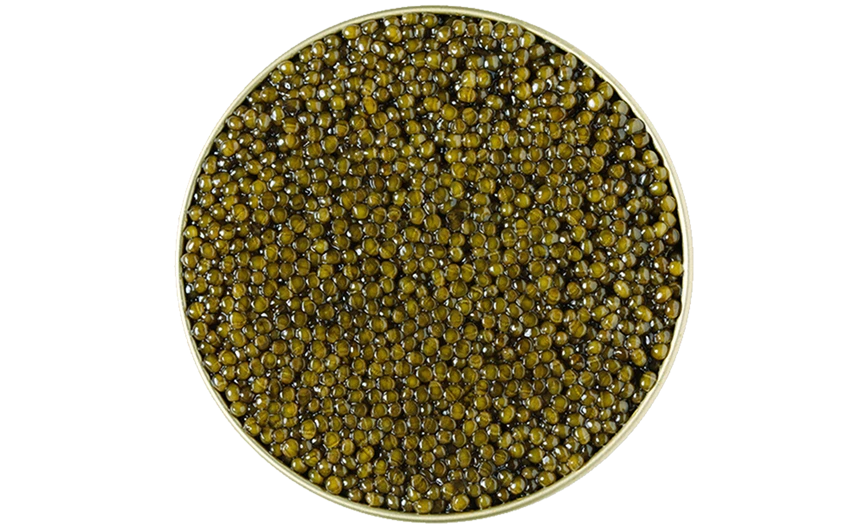 Caviale Ossetra in lattina aperta con grani color dorato