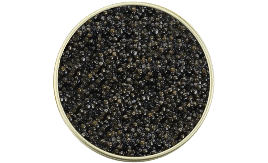 Caviale Siberian Sturgeon in barattolo aperto su fondo nero