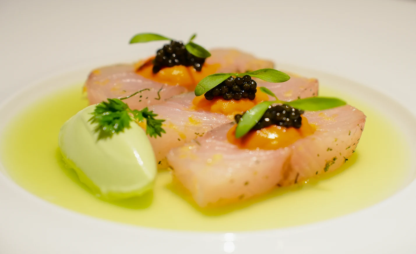 Piatto fine dining con caviale premium su pesce crudo marinato e brodo verde