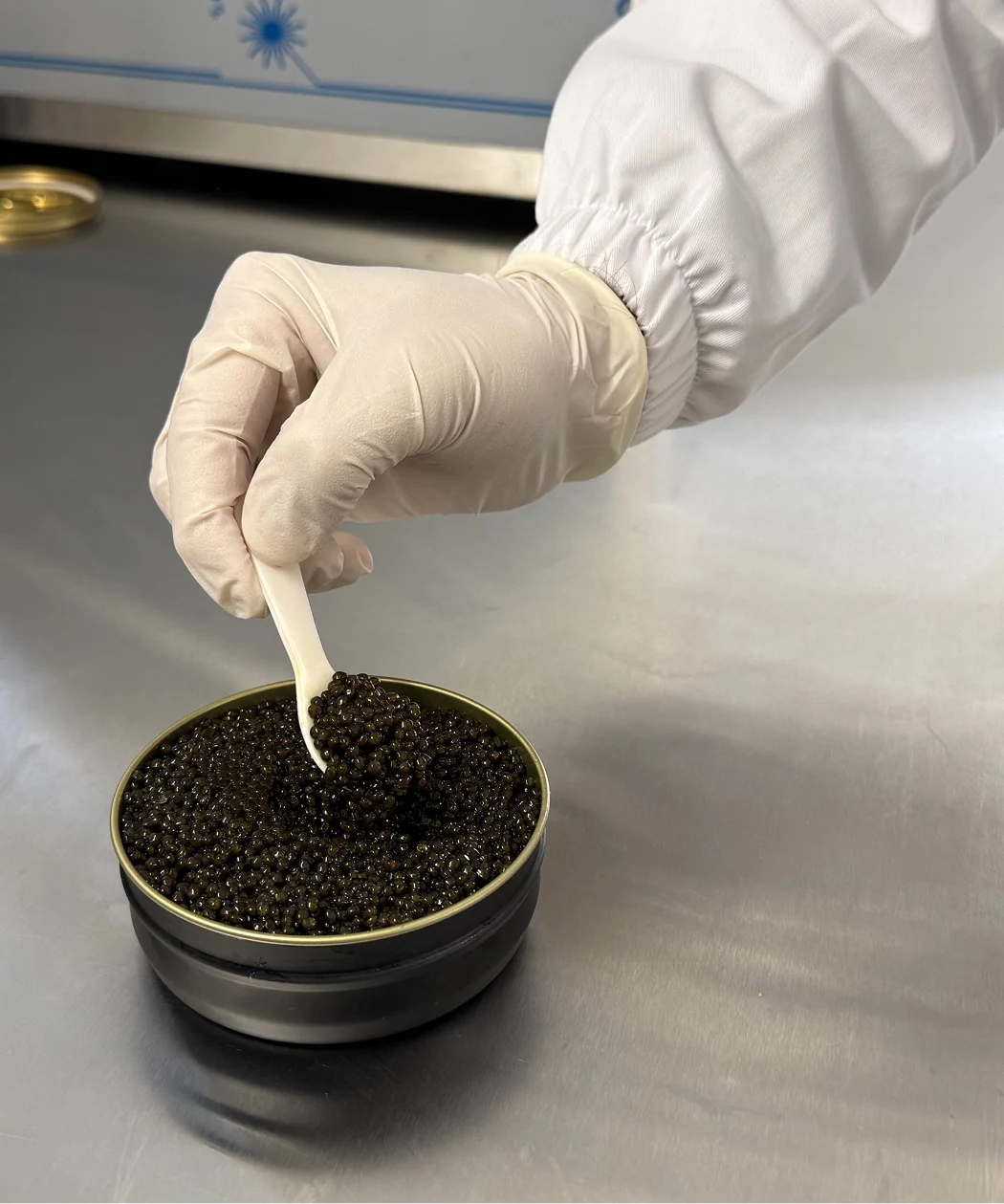Selezione manuale di caviale premium in laboratorio con bilancia professionale