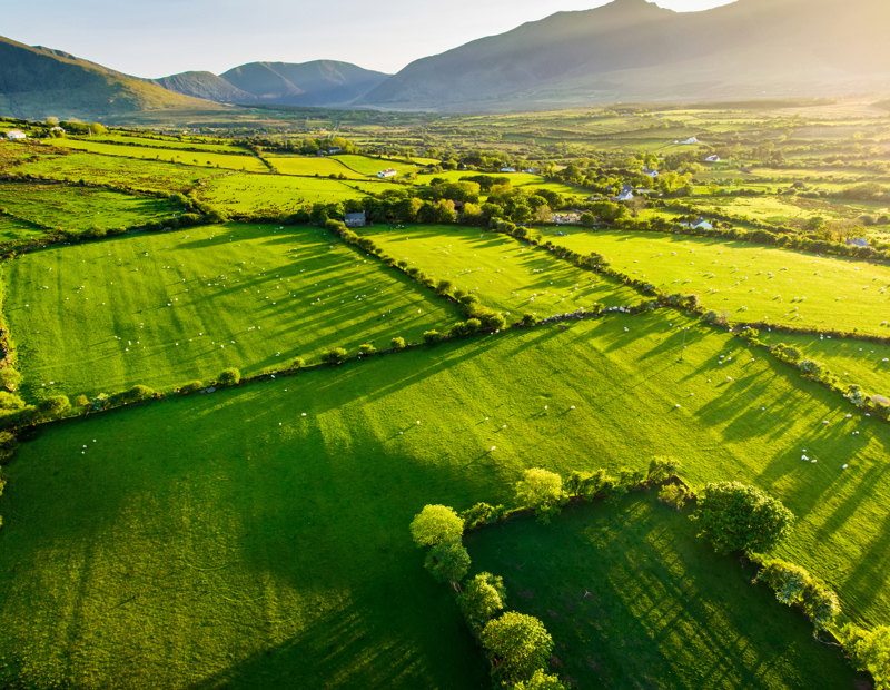 Irish countryside — Vista Foods environmental sustainability focus