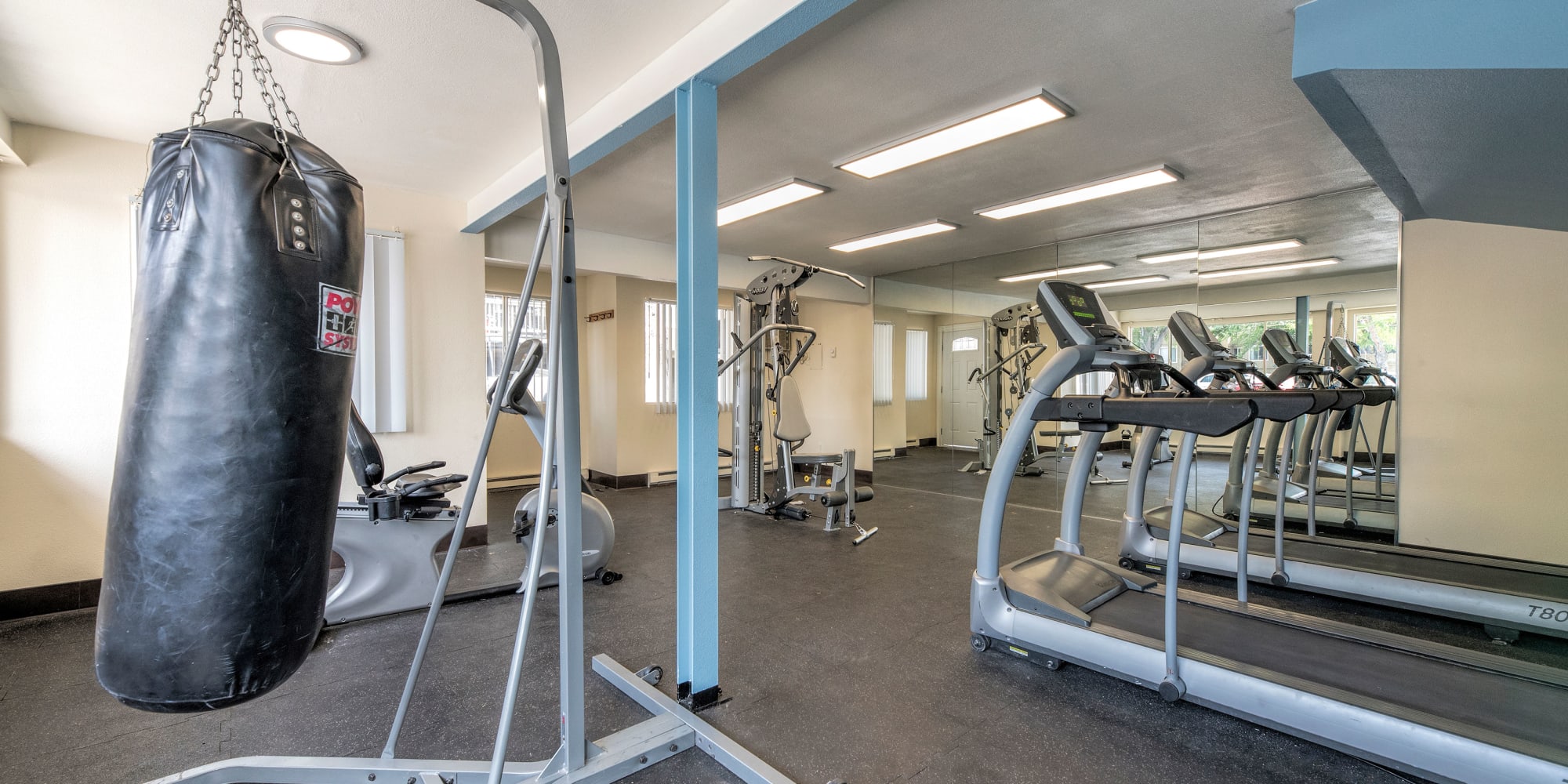 Gym with punching bag and treadmills