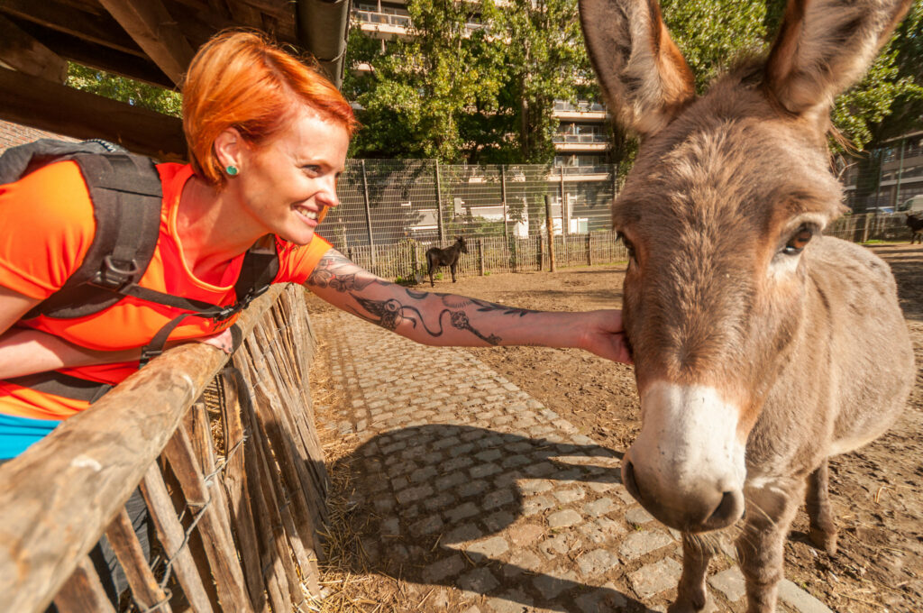 Femme qui fait une visite à la ferme lors de sa visite de Bruxelles à l'occasion d'un city break