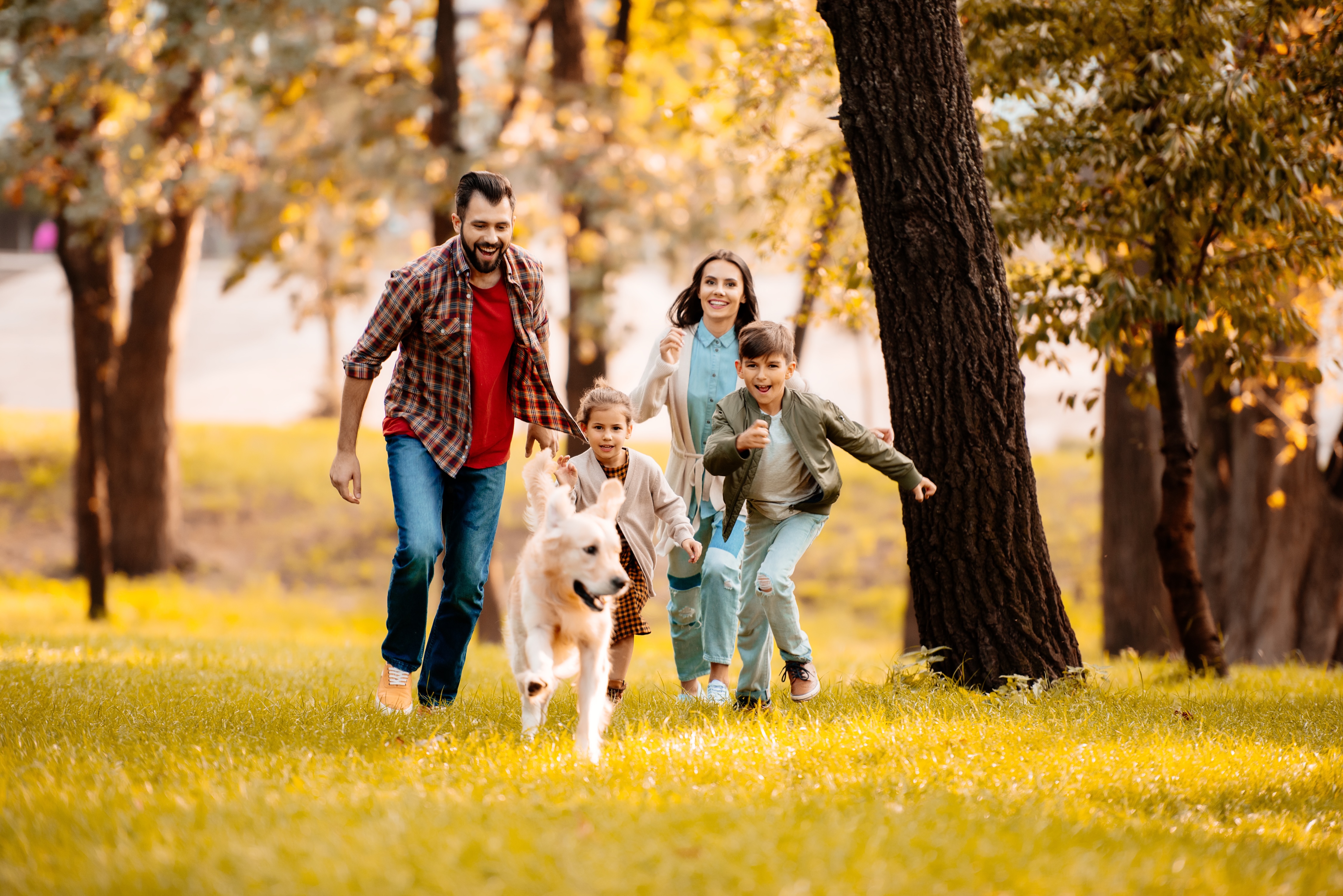 Family with dog stock image