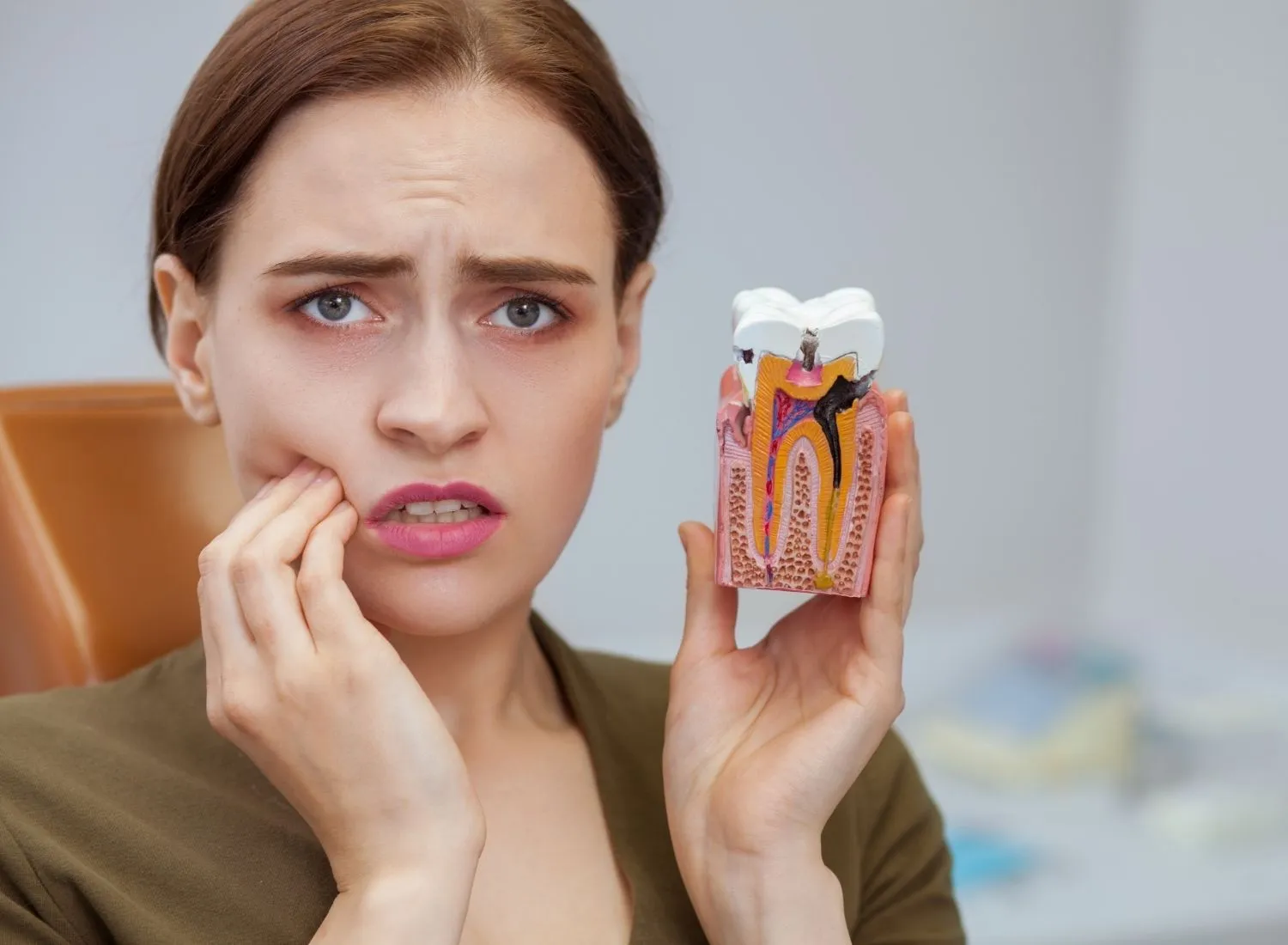 Woman holding a tooth cross-section model while touching her jaw in pain, indicating toothache or dental issues.
