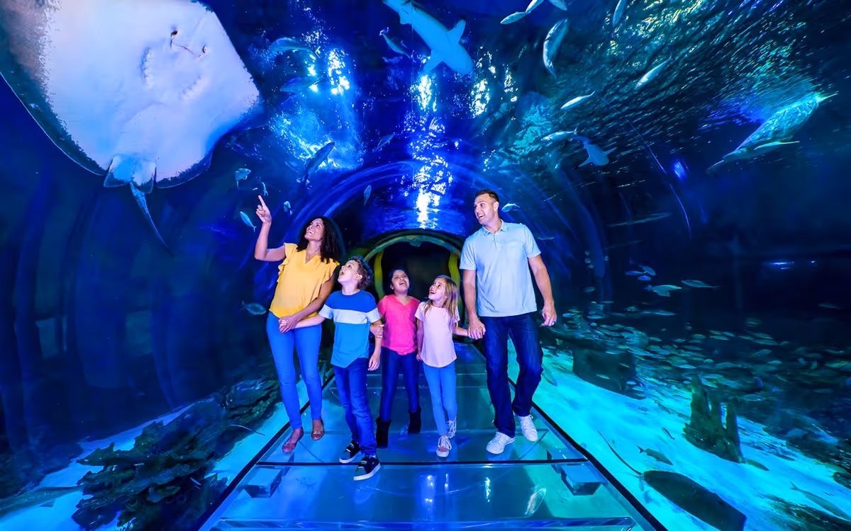 Family of five walking through an underwater tunnel with fish, sharks, and a large stingray swimming above.