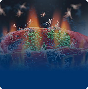 Chronic Inflammation