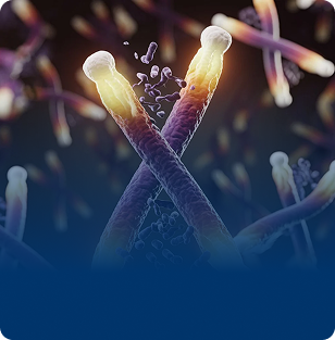 Telomere Attrition