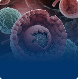 Stem Cell Exhaustion