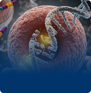 Genomic Instability