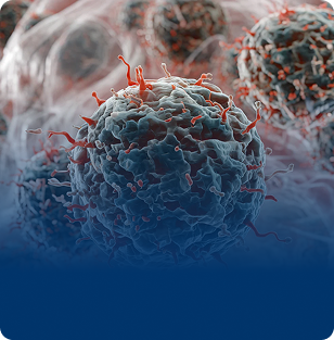 Cellular Senescence