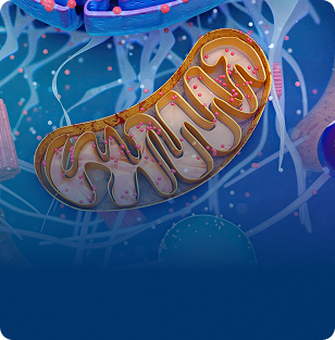 Symbiotic System