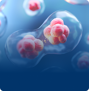 Aging Optimization