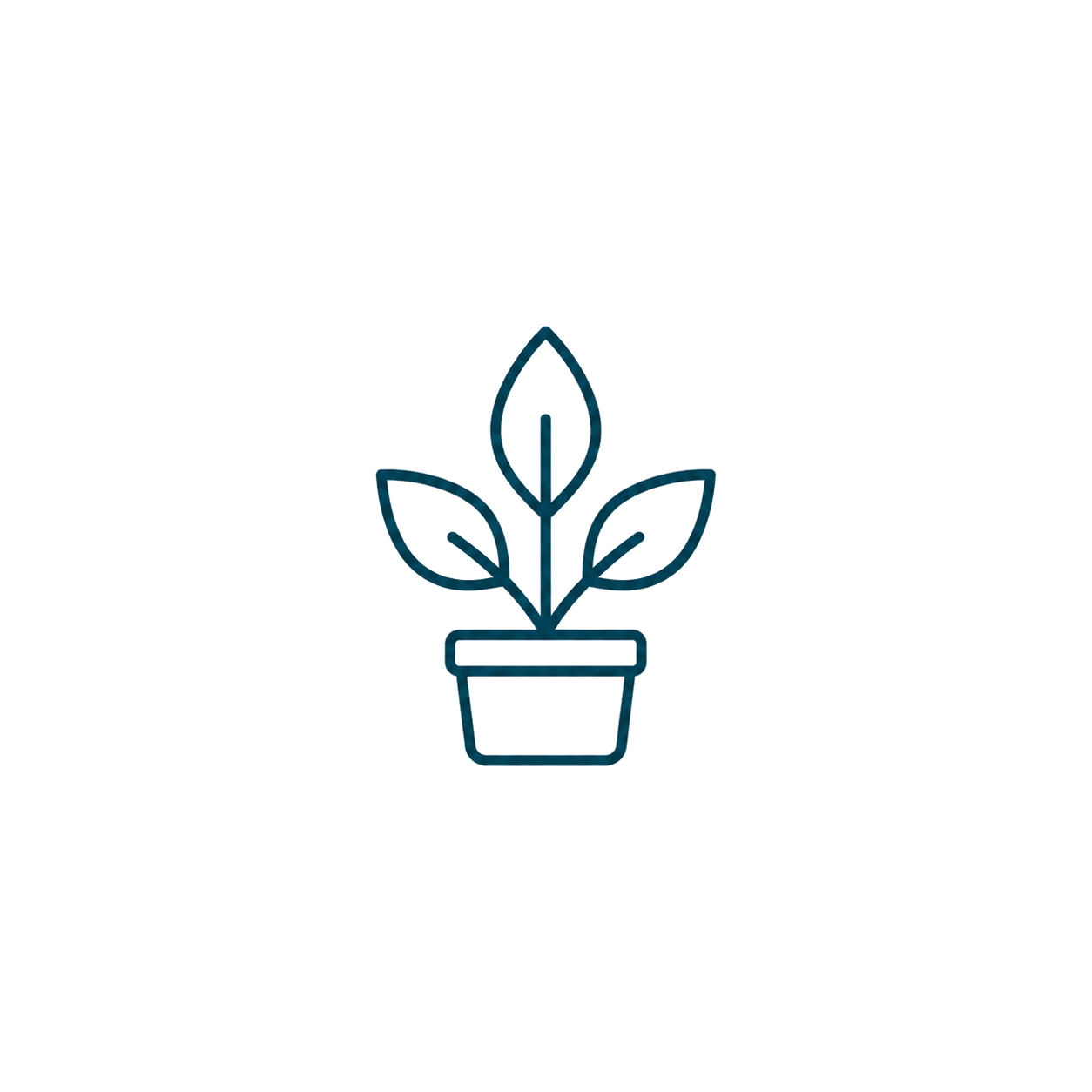 Icon Placeholder