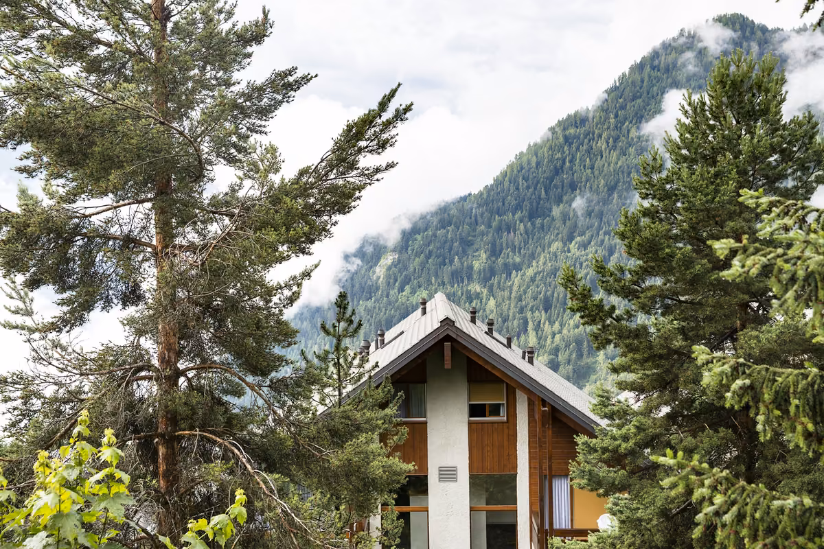 Chalet surrounded by pine trees with forested mountain and clouds in the background.