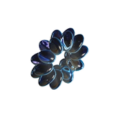 decoration image
