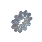 decoration image