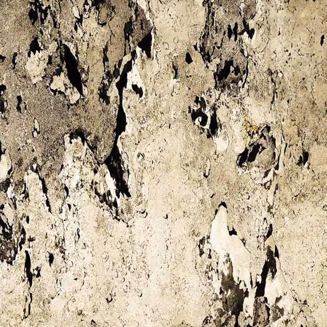 Casadenza Real Stone Veneer