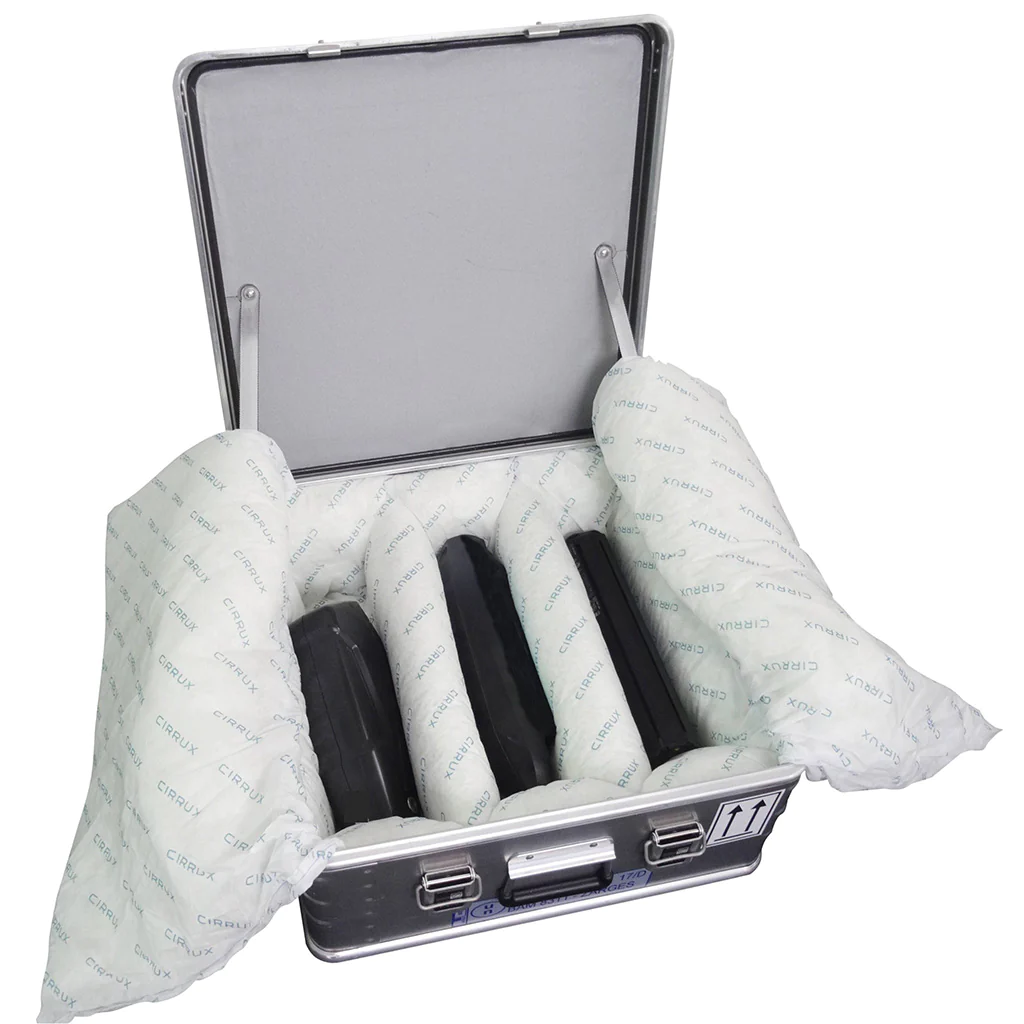 BatterySafe C Series