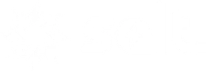 Salt