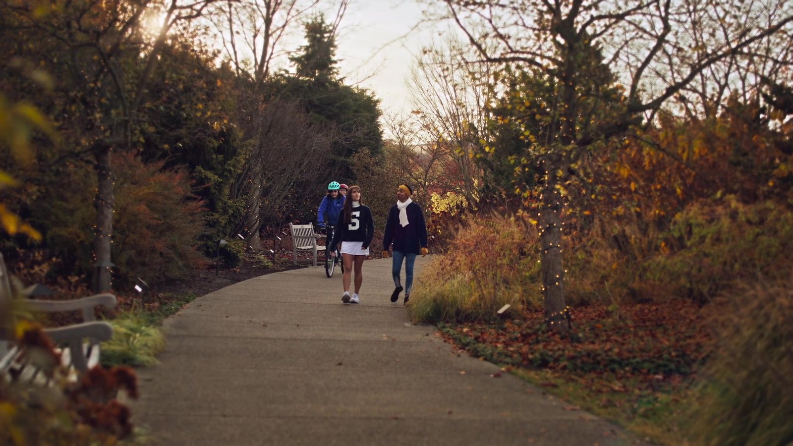 Arboretum path in peak fall color, frame from Our Favorite Things