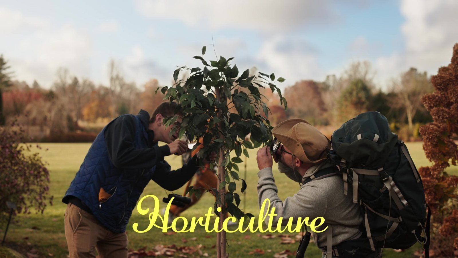 Horticulture title card over students planting a tree