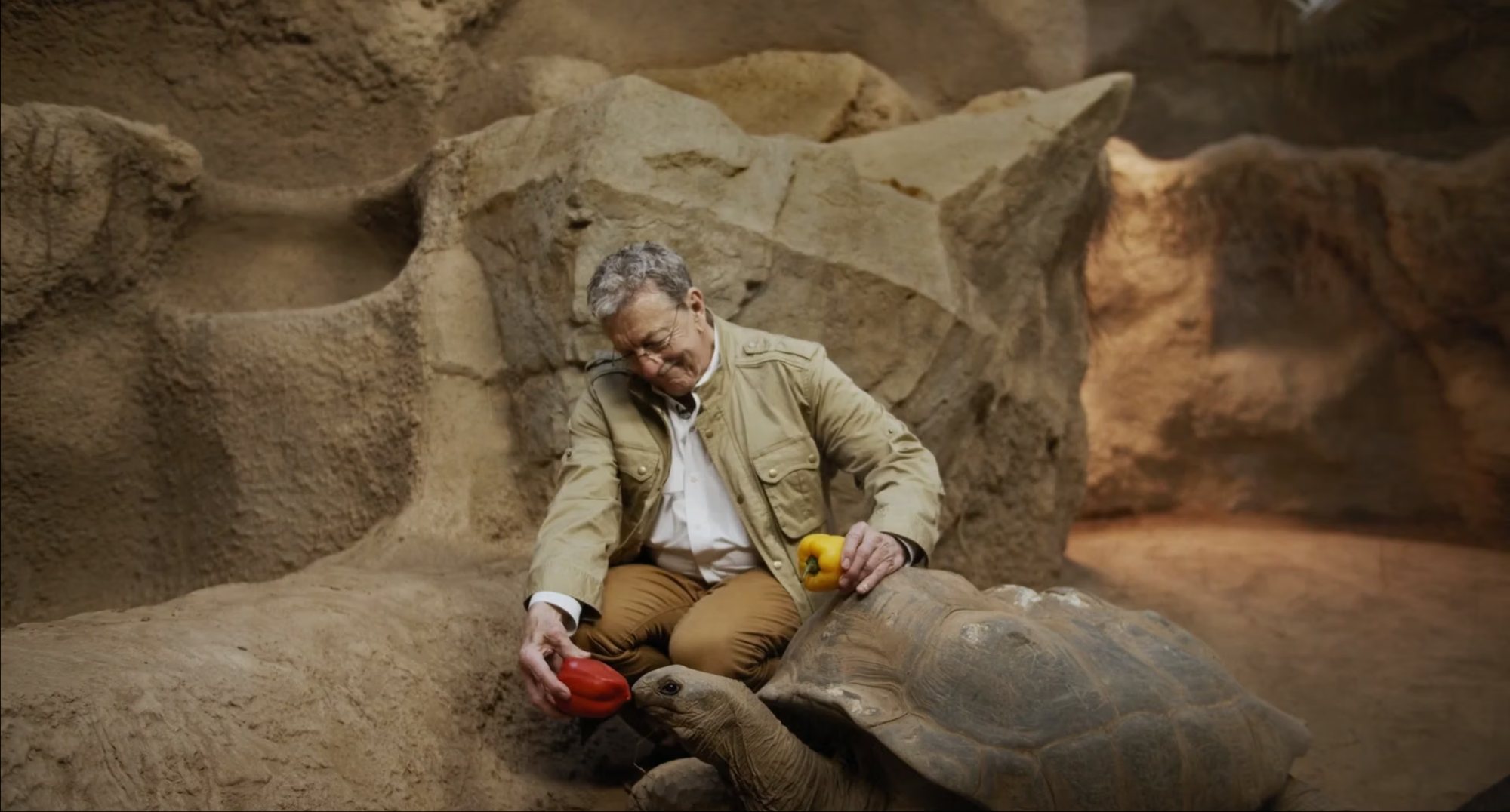 Clyde Peeling with a tortoise, frame from the UPMC patient story spot