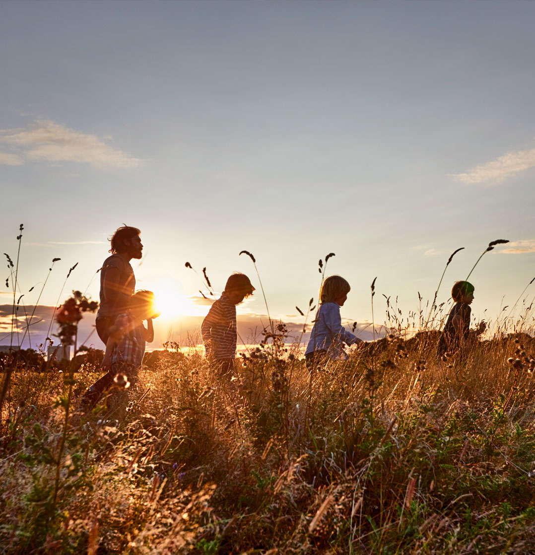 Photo of a family, outdoor, exploring nature in the warmth of the golden sun.
