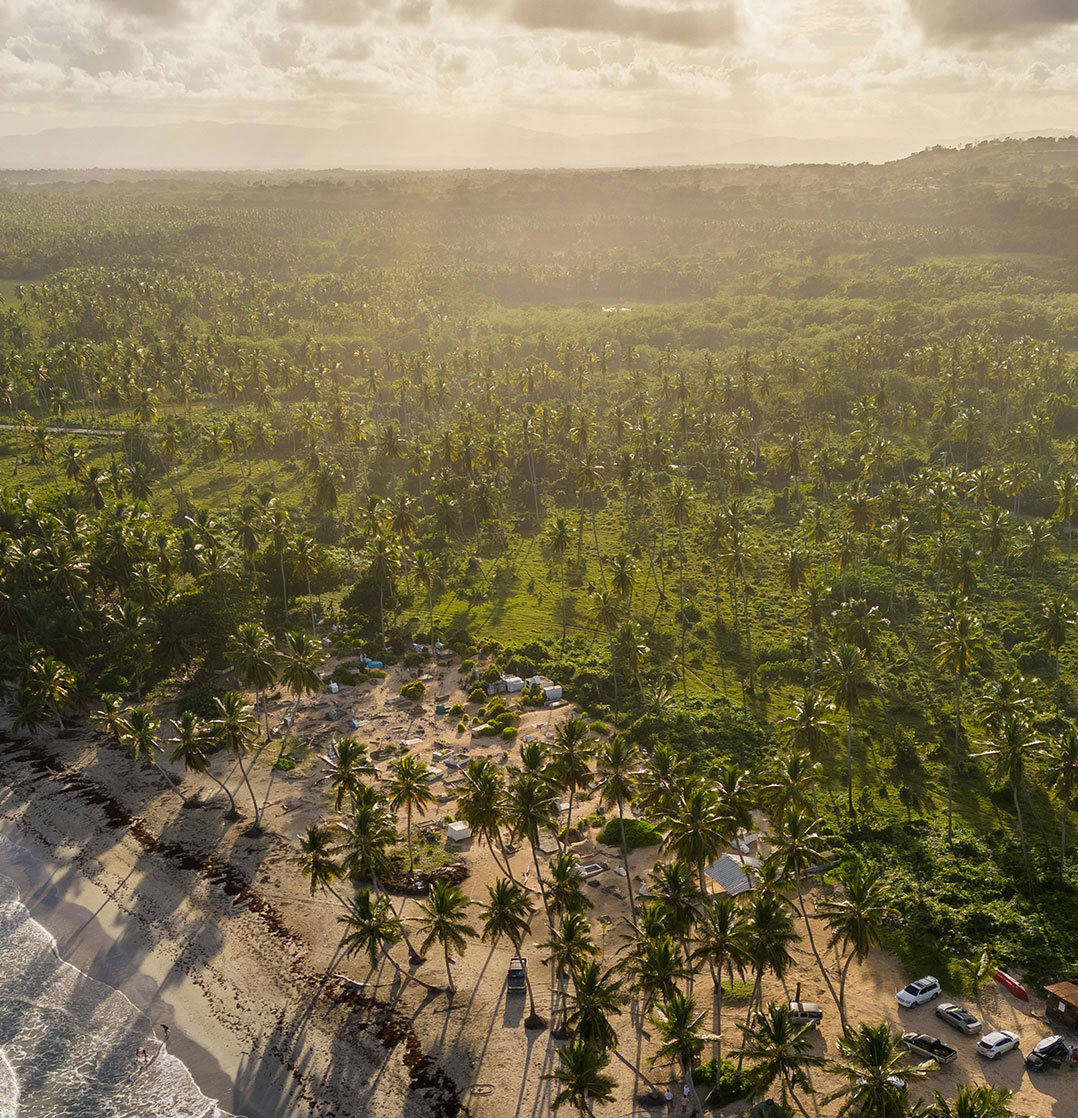 Photo by <a href="https://unsplash.com/@robertvasquez?utm_source=unsplash&utm_medium=referral&utm_content=creditCopyText">Robert Vasquez</a> on <a href="https://unsplash.com/photos/an-aerial-view-of-a-sandy-beach-with-palm-trees-co-zzRPbwd4?utm_source=unsplash&utm_medium=referral&utm_content=creditCopyText">Unsplash</a>