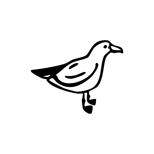 Simple black and white line drawing of a standing bird with one leg raised.