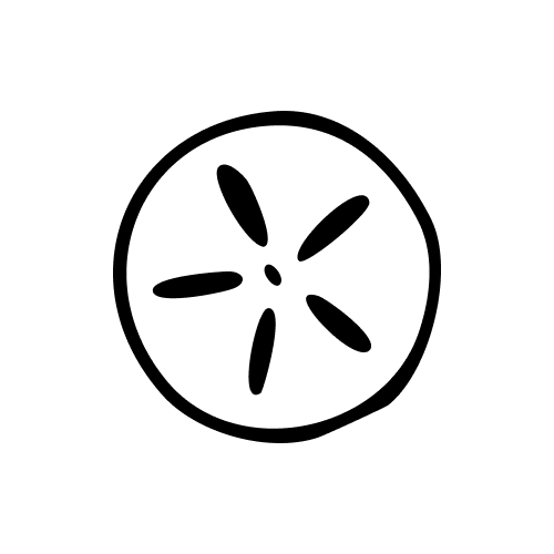 Black and white drawing of a sand dollar with five elliptical holes in the center.
