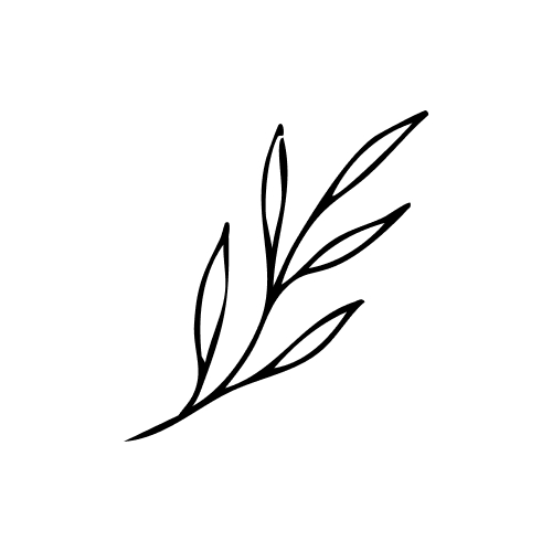 Simple black line drawing of a branch with six elongated leaves on a white background.
