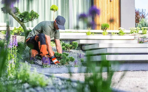 Eco-Friendly Practices