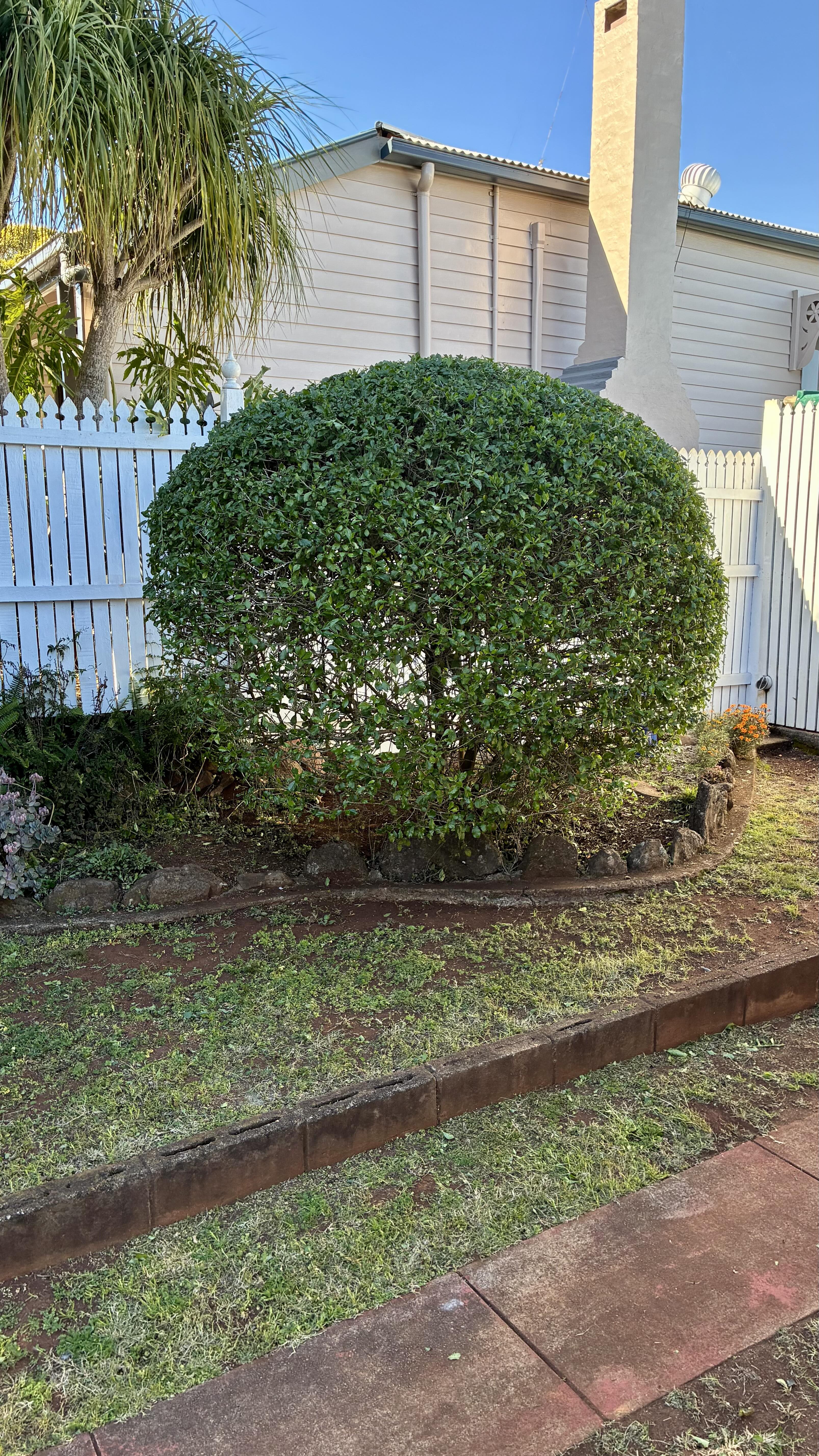 image of a beautifully landscaped garden (for a landscaping service) 2