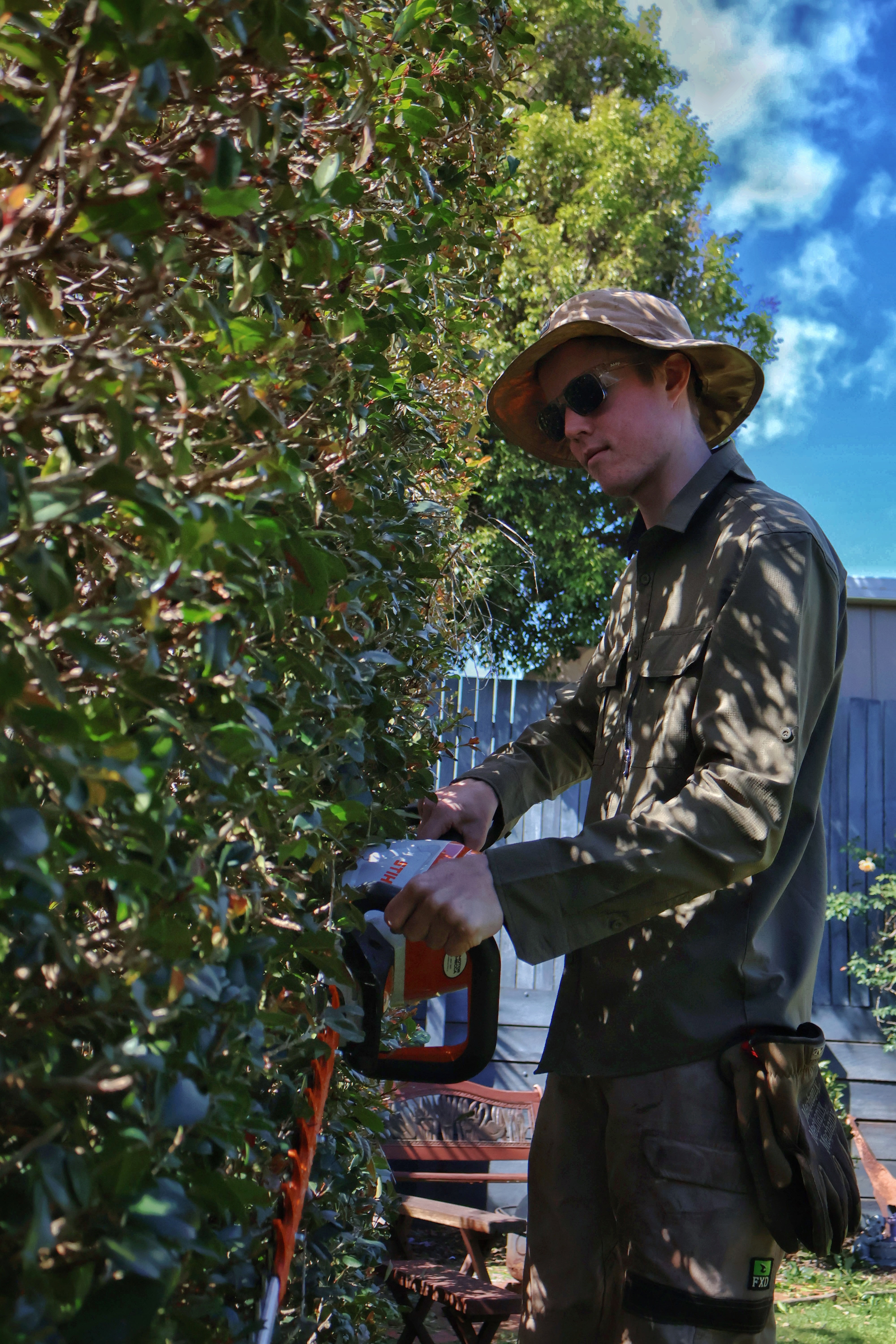 Hedging Portrait